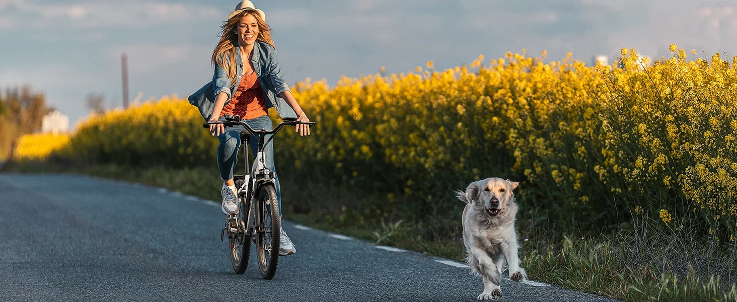 VARUN CITY CRUISER 500W Motor Electric Bicycle Adult E-Bike