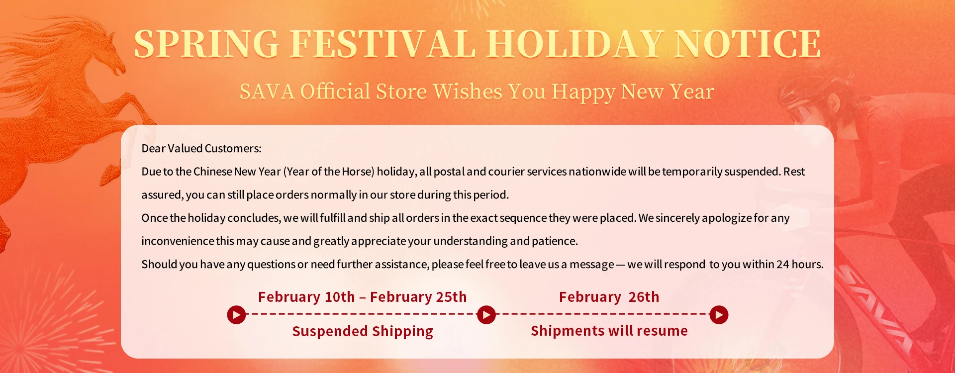 SAVA F20 Carbon Fiber Road Bike,  Hydraulic Disc Brakes