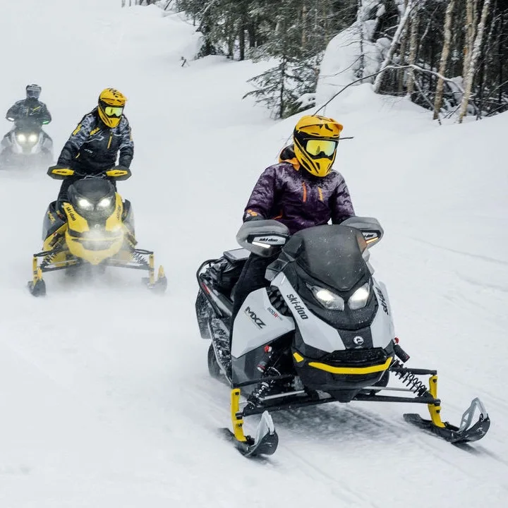 Expedition SE Snowmobile, 850cc Engine with 95HP, Track for Deep Snow