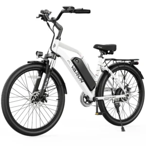 VARUN CITY CRUISER 500W Motor Electric Bicycle Adult E-Bike