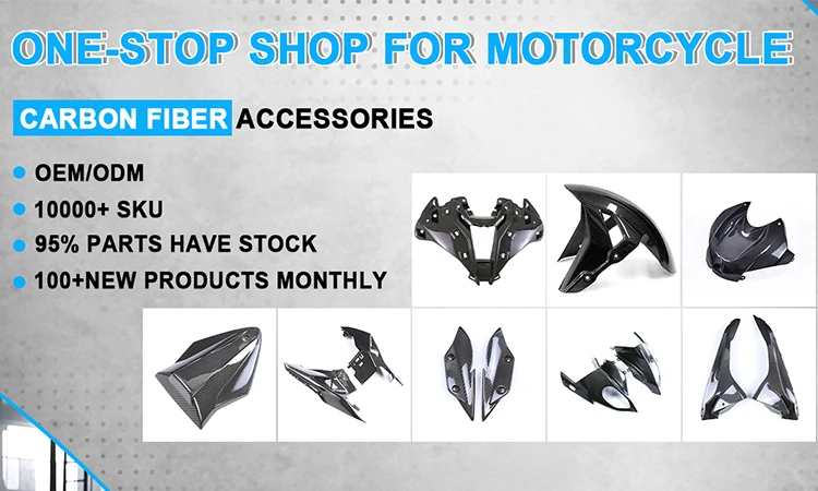 Carbon Fiber Motorcycle Predator Full Face Helmet With Light Anti-Fog