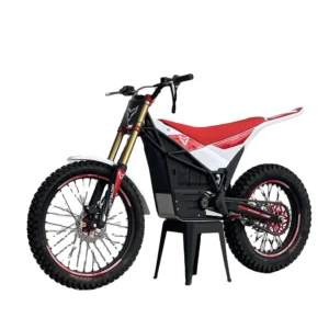 Arctic Leopard E XT800 Off-road Electric Bike High quality Motor